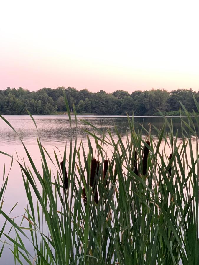 Ferienhaus Seeblick Am Harkebruegger See Mit Sauna Und Kamin Barssel  Екстер'єр фото