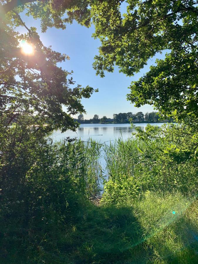 Ferienhaus Seeblick Am Harkebruegger See Mit Sauna Und Kamin Barssel  Екстер'єр фото